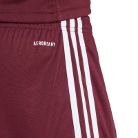 Pantalon scurt Combat adidas Squadra 25 men's burgundy JC8677