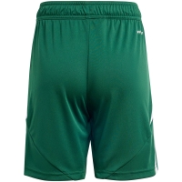 Pantalon scurt Combat Adidas Tiro 24 's green IT2409 copil