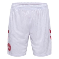 Pantalon scurt Combat Hummel Denmark Home 2024 adulti