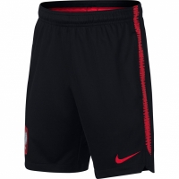 Pantalon scurt Combat Nike Pol Dry Sqd Short KZ 893825 010 copil