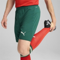 Pantalon scurt Combat Puma Portugal Home 2025 adulti