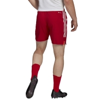 Pantalon scurt Combat Men's adidas Condivo 22 Match Day red HA0600