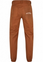 Pantalon Southpole Script Twill