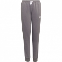 Pantalon Spodnie dla dzieci adidas Entrada 22 Sweat szare H57519