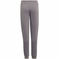 Pantalon Spodnie dla dzieci adidas Entrada 22 Sweat szare H57519