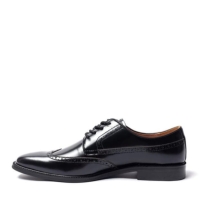 Pantof Giorgio Men Brogue piele Oxford