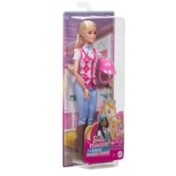 Barbie Mysteries the Great Horse Chase Malibu Doll with Riding Clothes & Accessories