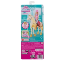 Barbie Mysteries the Great Horse Chase Malibu Doll with Riding Clothes & Accessories