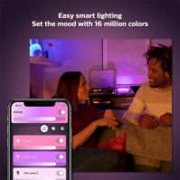 Philips Hue COL HUE GO UK Portable light 12V