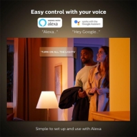 Philips Hue COL HUE GO UK Portable light 12V