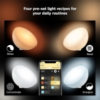 Philips Hue COL HUE GO UK Portable light 12V