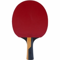 Ping pong bat Butterfly Carbon