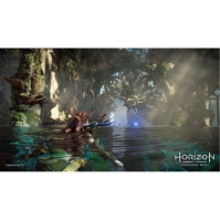 PlayStation Horizon Forbidden West