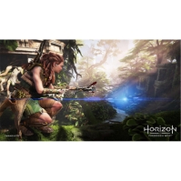 PlayStation Horizon Forbidden West