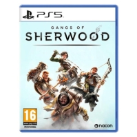 PlayStation of Sherwood