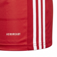 Men's Adidas Campeon 21 Jersey red FT6763