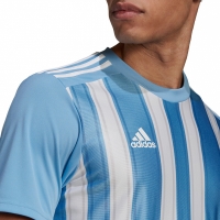 Men's Adidas Striped 21 Jersey blue-white GN5845