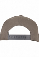 Flexfit 110 Curved Visor Snapback