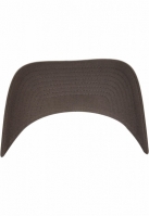 Flexfit 110 Curved Visor Snapback