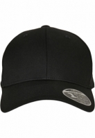 Flexfit 110 Curved Visor Snapback