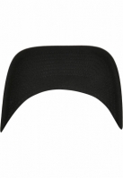 Flexfit 110 Curved Visor Snapback