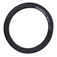 Schwalbe Black Jack Ch00