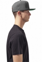 Classic Snapback 2-Tone Flexfit