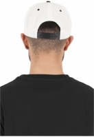 Classic Snapback 2-Tone Flexfit