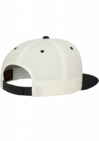 Classic Snapback 2-Tone Flexfit