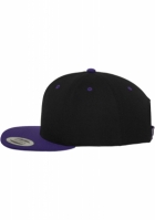 Classic Snapback 2-Tone Flexfit