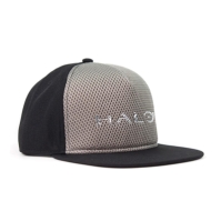 Halo Halo Chrome Snapback