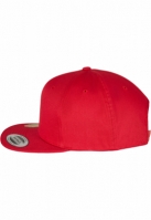 Organic Cotton Snapback Flexfit