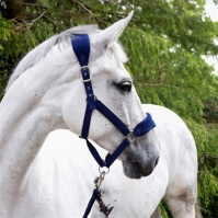 John Whitaker Whitaker Club Headcollar and Lead Rope Set