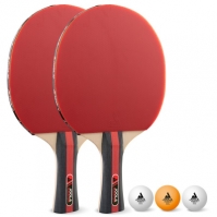 Set tenis masa JOOLA Rosskopf Special