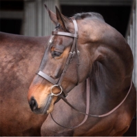 Shires Velociti Gara Plain Bridle