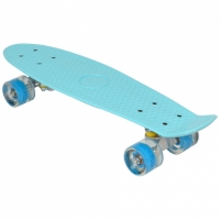 Skateboard Plastic 22 