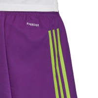 Pantalon scurt Combat Men's Adidas Condivo 20 Short purple FI4577