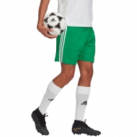 Spodenki męskie adidas Squadra 21 Jersey zielone GN5769