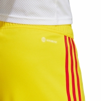 Pantalon scurt Combat Men's adidas Tiro 23 League yellow IB8091