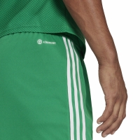 Pantalon scurt Combat Men's adidas Tiro 23 League green IB8087