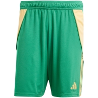 Pantalon scurt Combat Men's adidas Tiro 24 green IT2414