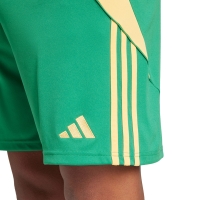 Pantalon scurt Combat Men's adidas Tiro 24 green IT2414