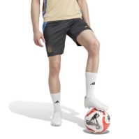 Minge Fotbal adidas Afa Tr Sho Short barbat