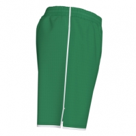 Liga Short Green-white Joma