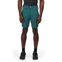 Regatta Highton Pro Short