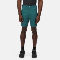 Regatta Highton Pro Short