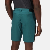 Regatta Highton Pro Short