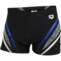 Arena SWIM SHORT GRAPHIC