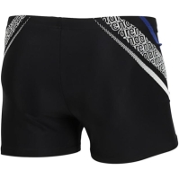 Arena SWIM SHORT GRAPHIC