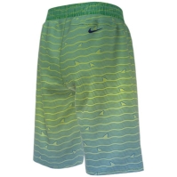 Nike Shrk Swim Short In99